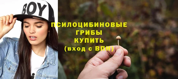 ешки Алзамай
