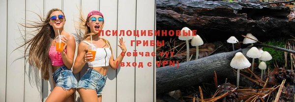 ешки Алзамай