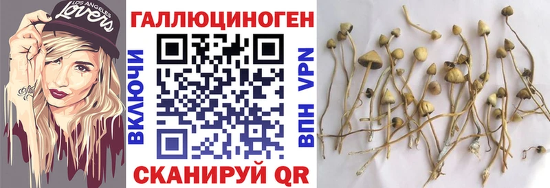 Галлюциногенные грибы мухоморы  Алексин 